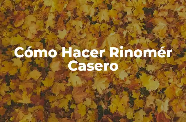 ¿Qué es un Rinomér Casero?