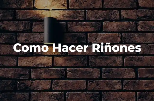 ¿Qué son los Riñones y para Qué Sirven?