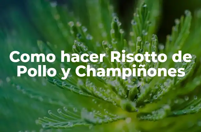 ¿Qué es un Risotto y para qué Sirve?