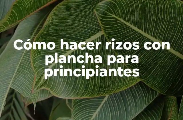 Cómo Hacer Rizos con Plancha para Principiantes