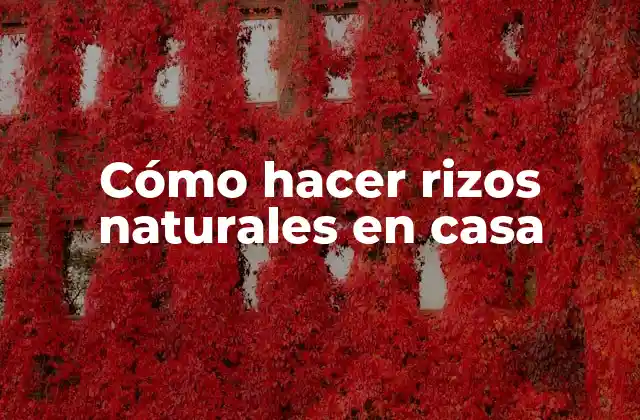 Cómo Hacer Rizos Naturales en Casa