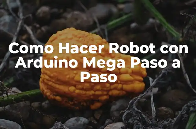 Como Hacer Robot con Arduino Mega Paso a Paso 2 ¿Qué es Arduino Mega y para Qué Sirve?
