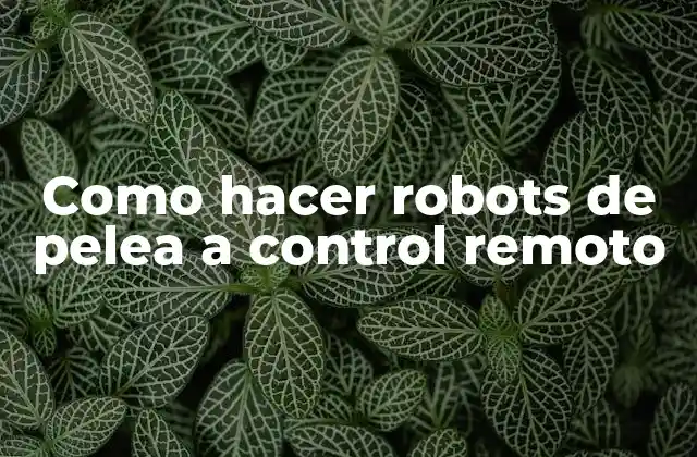 Como Hacer Robots de Pelea a Control Remoto