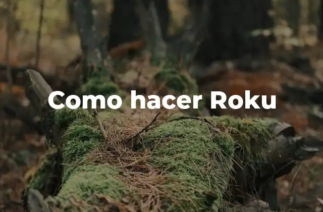 Como Hacer Roku