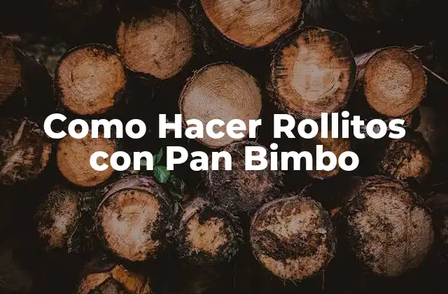 ¿Qué son los Rollitos con Pan Bimbo?