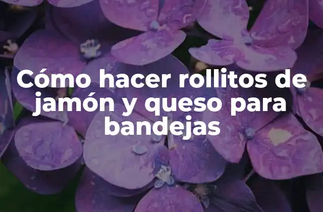 Cómo Hacer Rollitos de Jamón y Queso para Bandejas