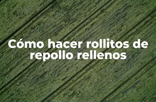 Cómo Hacer Rollitos de Repollo Rellenos