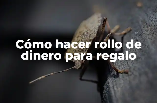 Cómo Hacer Rollo de Dinero para Regalo