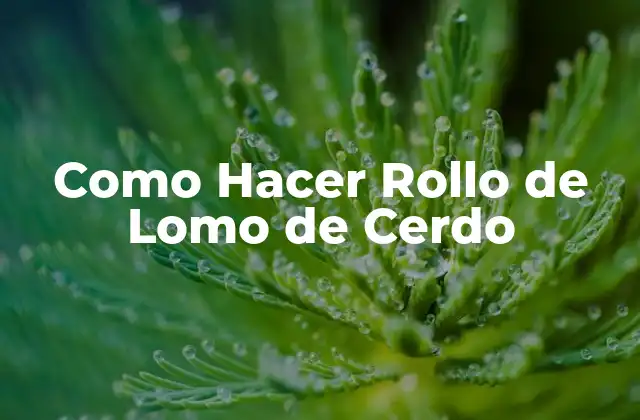 ¿Qué es un Rollo de Lomo de Cerdo?