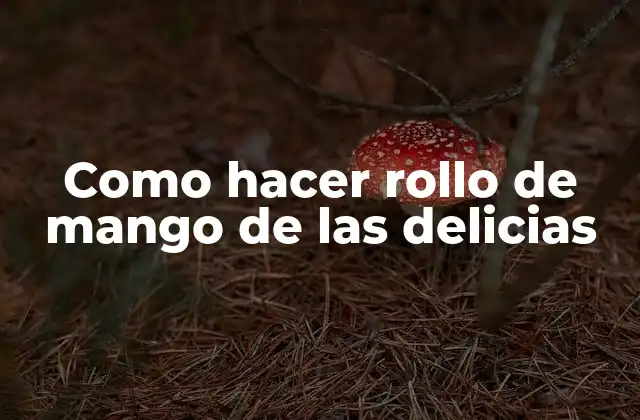 Como Hacer Rollo de Mango de las Delicias 2 ¿Qué es un rollo de mango de las delicias?