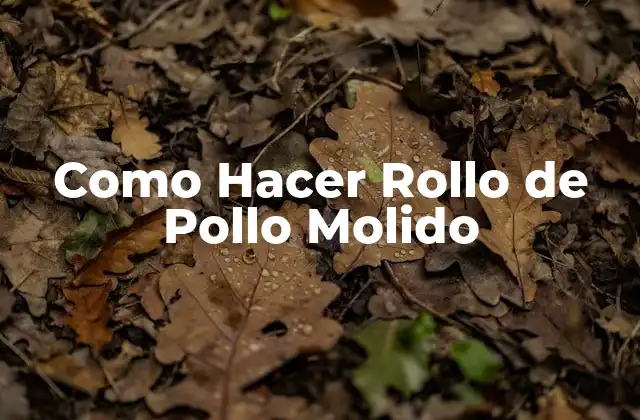 Como Hacer Rollo de Pollo Molido