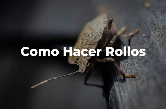 Como Hacer Rollos