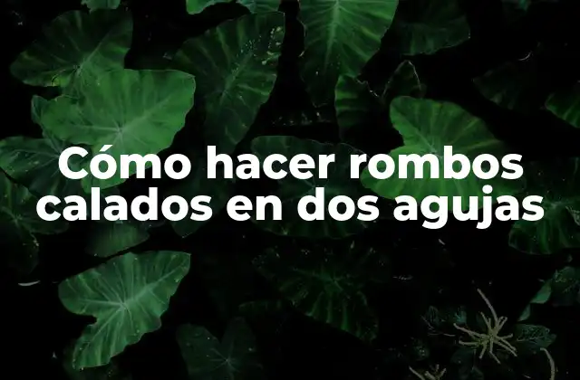Cómo Hacer Rombos Calados en Dos Agujas