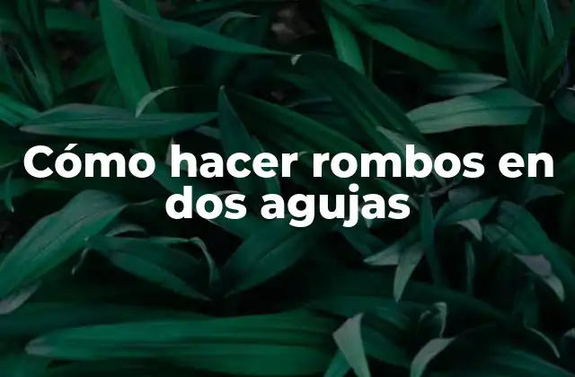 Cómo Hacer Rombos en Dos Agujas