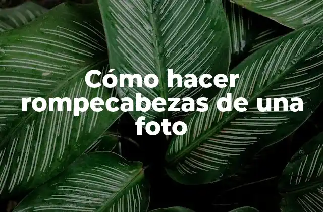Cómo Hacer Rompecabezas de una Foto 2 Cómo hacer rompecabezas de una foto