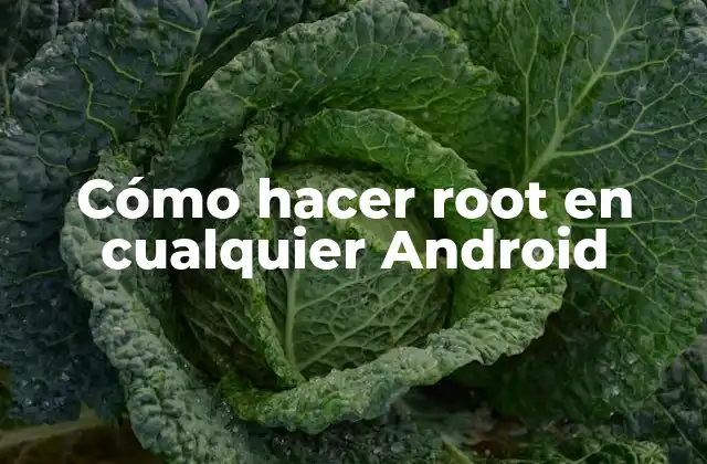 Cómo Hacer Root en Cualquier Android