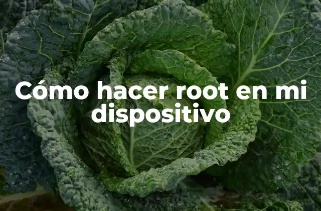 Cómo Hacer Root en Mi Dispositivo