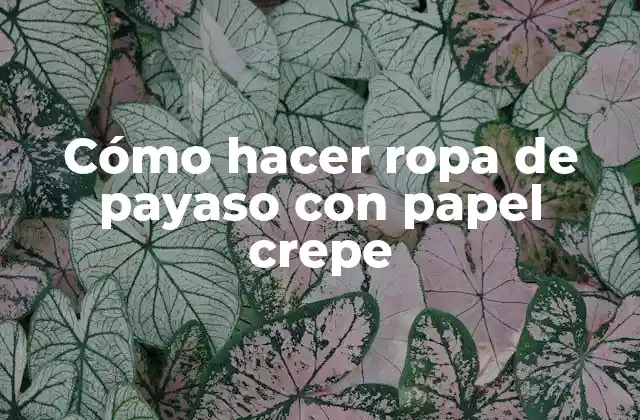 Cómo Hacer Ropa de Payaso con Papel Crepe