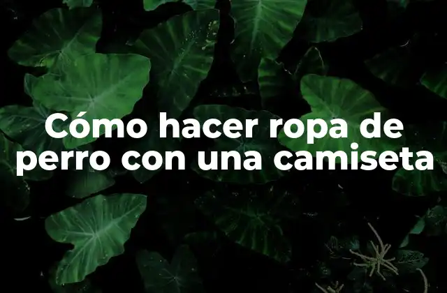 Cómo Hacer Ropa de Perro con una Camiseta