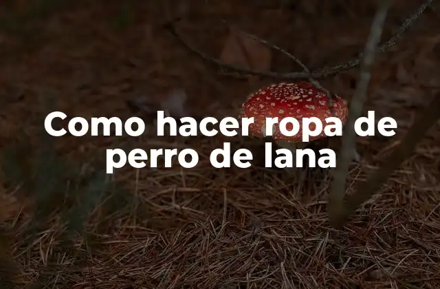 Como Hacer Ropa de Perro de Lana
