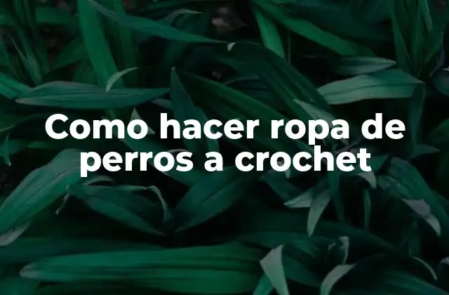 Como Hacer Ropa de Perros a Crochet