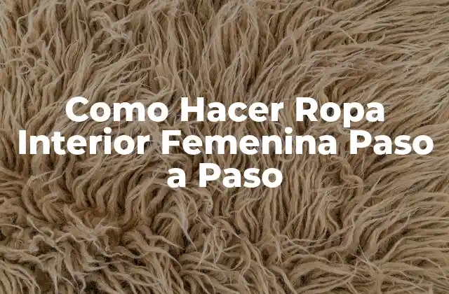¿Qué es la Ropa Interior Femenina y para Qué Sirve?