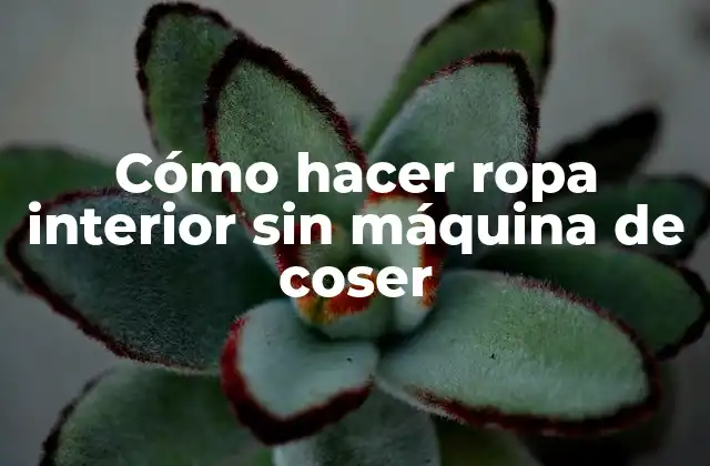 Cómo hacer ropa interior sin máquina de coser