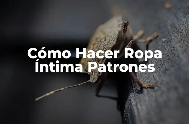 Cómo Hacer Ropa Íntima Patrones