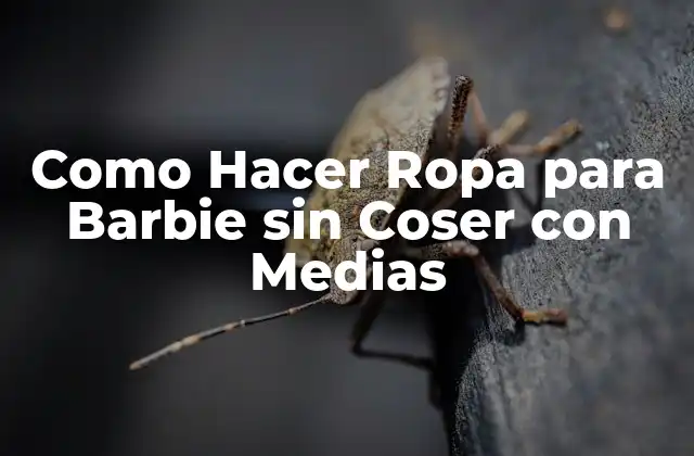 Como Hacer Ropa para Barbie sin Coser con Medias