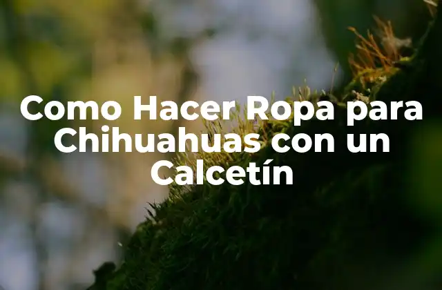 Como Hacer Ropa para Chihuahuas con un Calcetín