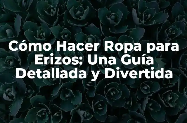 Cómo Hacer Ropa para Erizos: una Guía Detallada y Divertida
