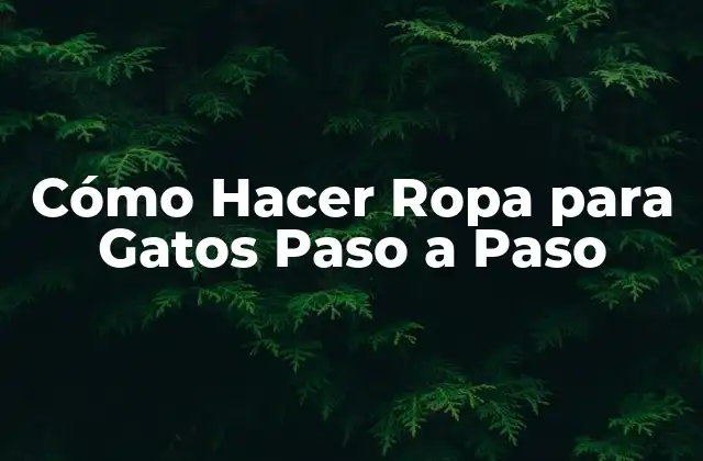 Cómo Hacer Ropa para Gatos Paso a Paso
