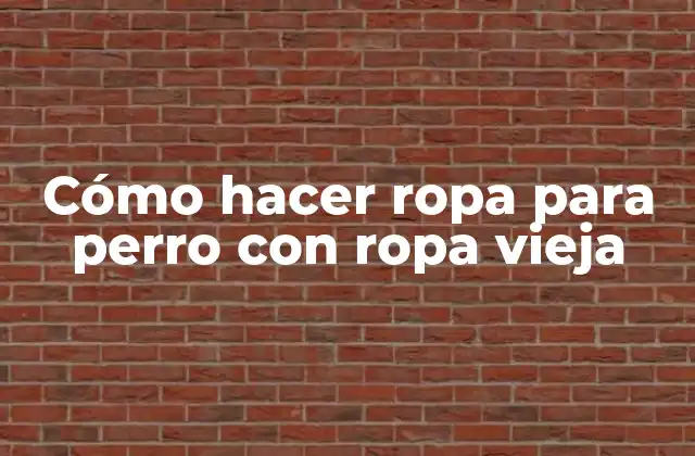 Cómo Hacer Ropa para Perro con Ropa Vieja