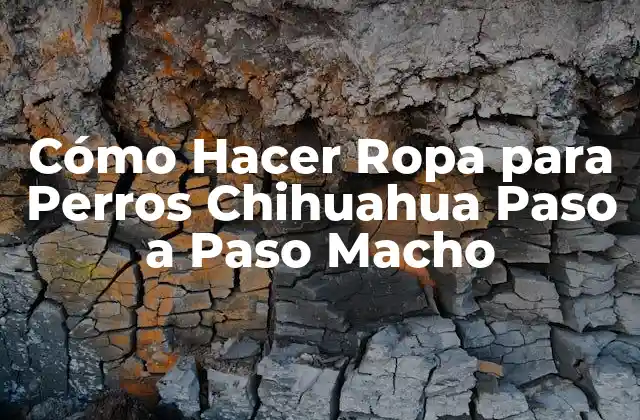 Cómo Hacer Ropa para Perros Chihuahua Paso a Paso Macho 2 Cómo Hacer Ropa para Perros Chihuahua Paso a Paso Macho