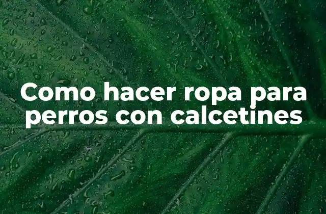 Como Hacer Ropa para Perros con Calcetines 2 Como hacer ropa para perros con calcetines