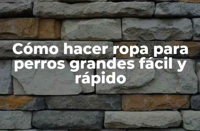 Cómo Hacer Ropa para Perros Grandes Fácil y Rápido