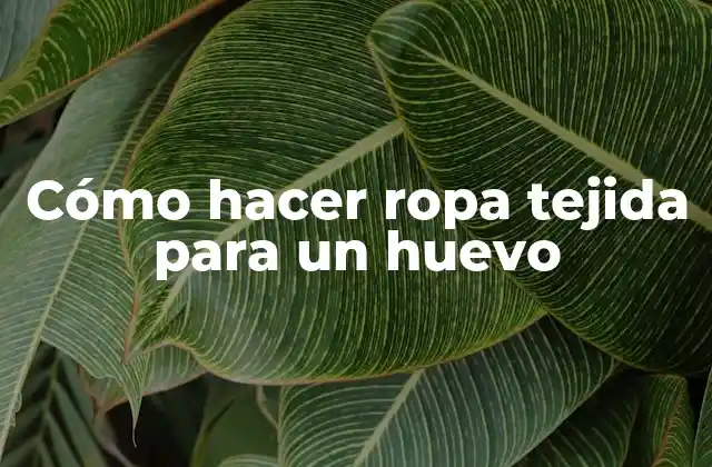 Cómo Hacer Ropa Tejida para un Huevo