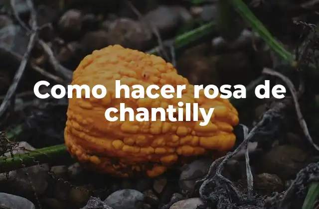 Como Hacer Rosa de Chantilly 2 Qué es una rosa de chantilly y para qué se utiliza