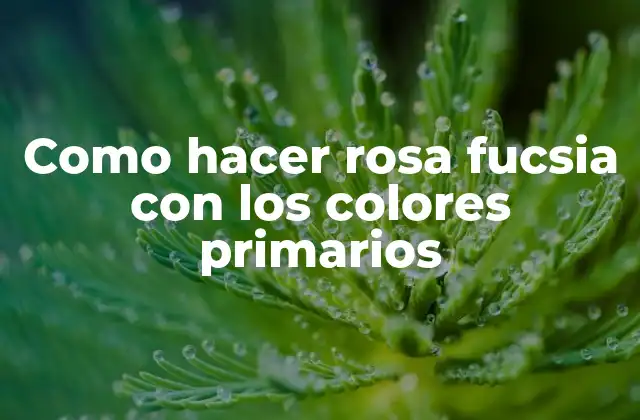 Como Hacer Rosa Fucsia con los Colores Primarios