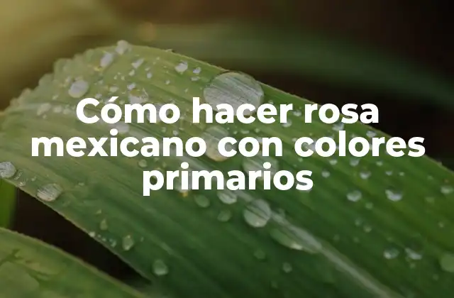 Cómo Hacer Rosa Mexicano con Colores Primarios