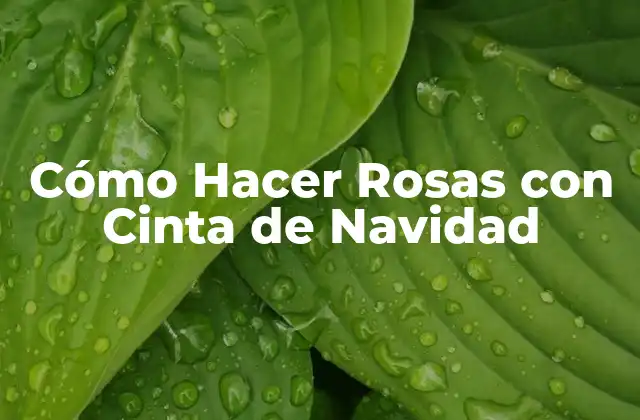 Cómo Hacer Rosas con Cinta de Navidad