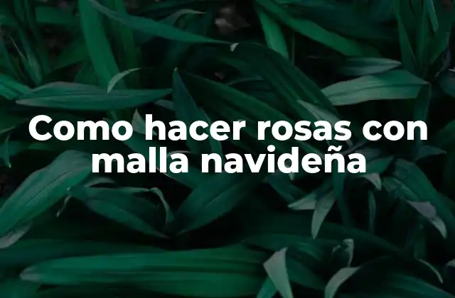 Rosas con malla navideña