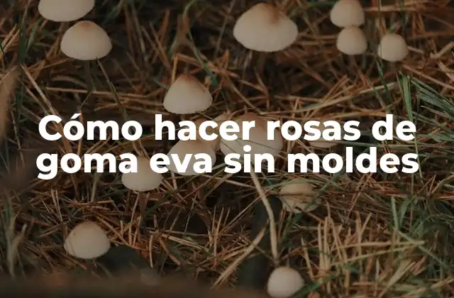 Cómo Hacer Rosas de Goma Eva sin Moldes