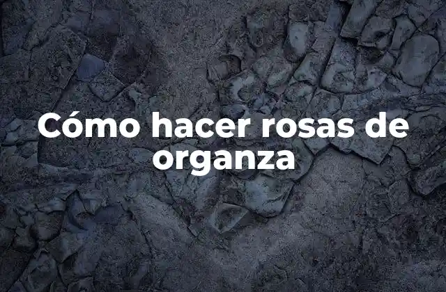 Cómo Hacer Rosas de Organza
