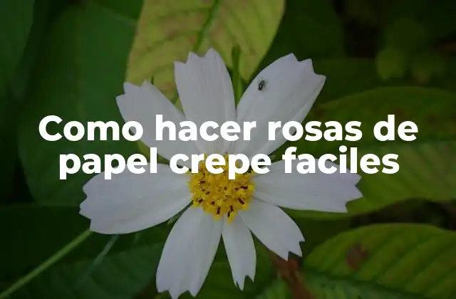 Como Hacer Rosas de Papel Crepe Faciles