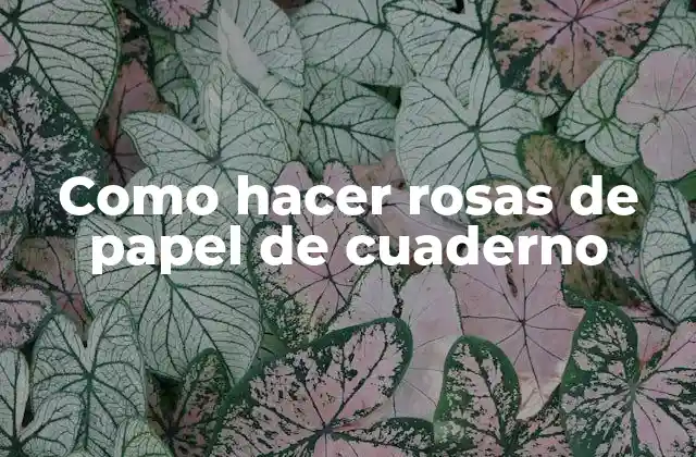 Como Hacer Rosas de Papel de Cuaderno