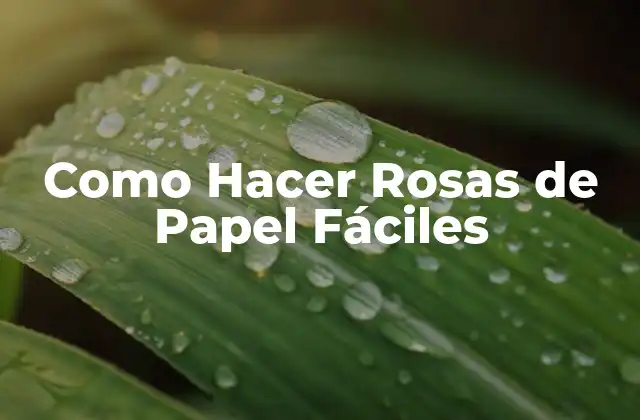 Como Hacer Rosas de Papel Fáciles