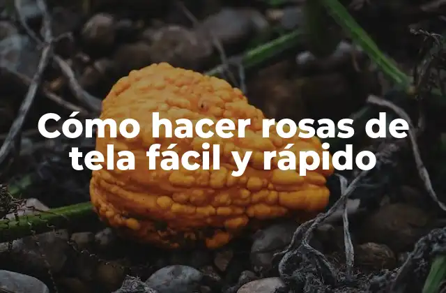 Cómo Hacer Rosas de Tela Fácil y Rápido