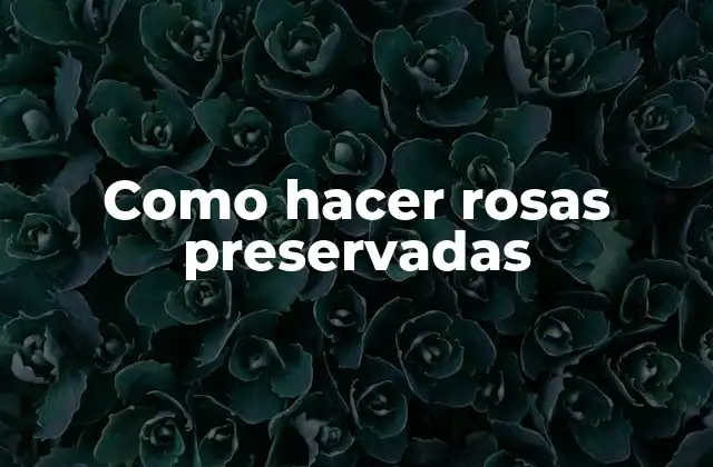 Como Hacer Rosas Preservadas 2 ¿Qué son las rosas preservadas y para qué sirven?