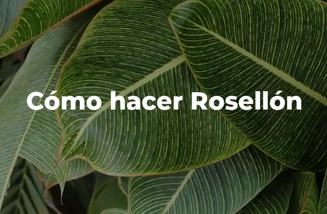 Cómo Hacer Rosellón